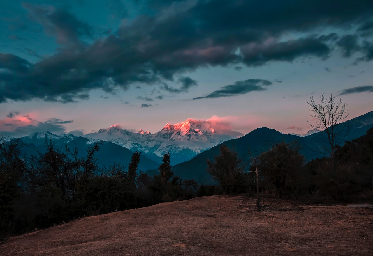 pexels-aarti-vijay-2693529